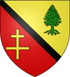 Blason - Saint-Am